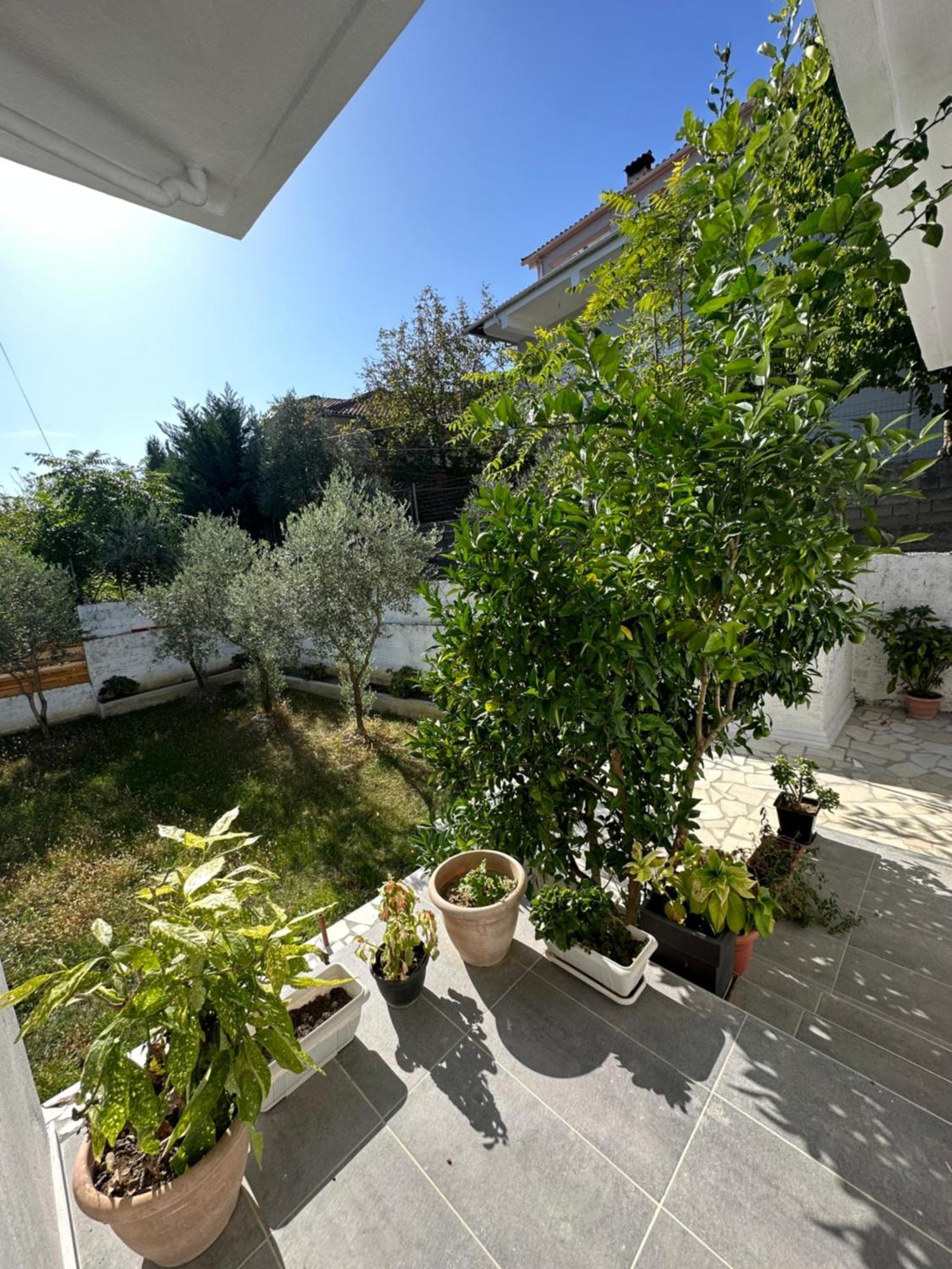 Villa Braho Gjirokaster Ngoại thất bức ảnh