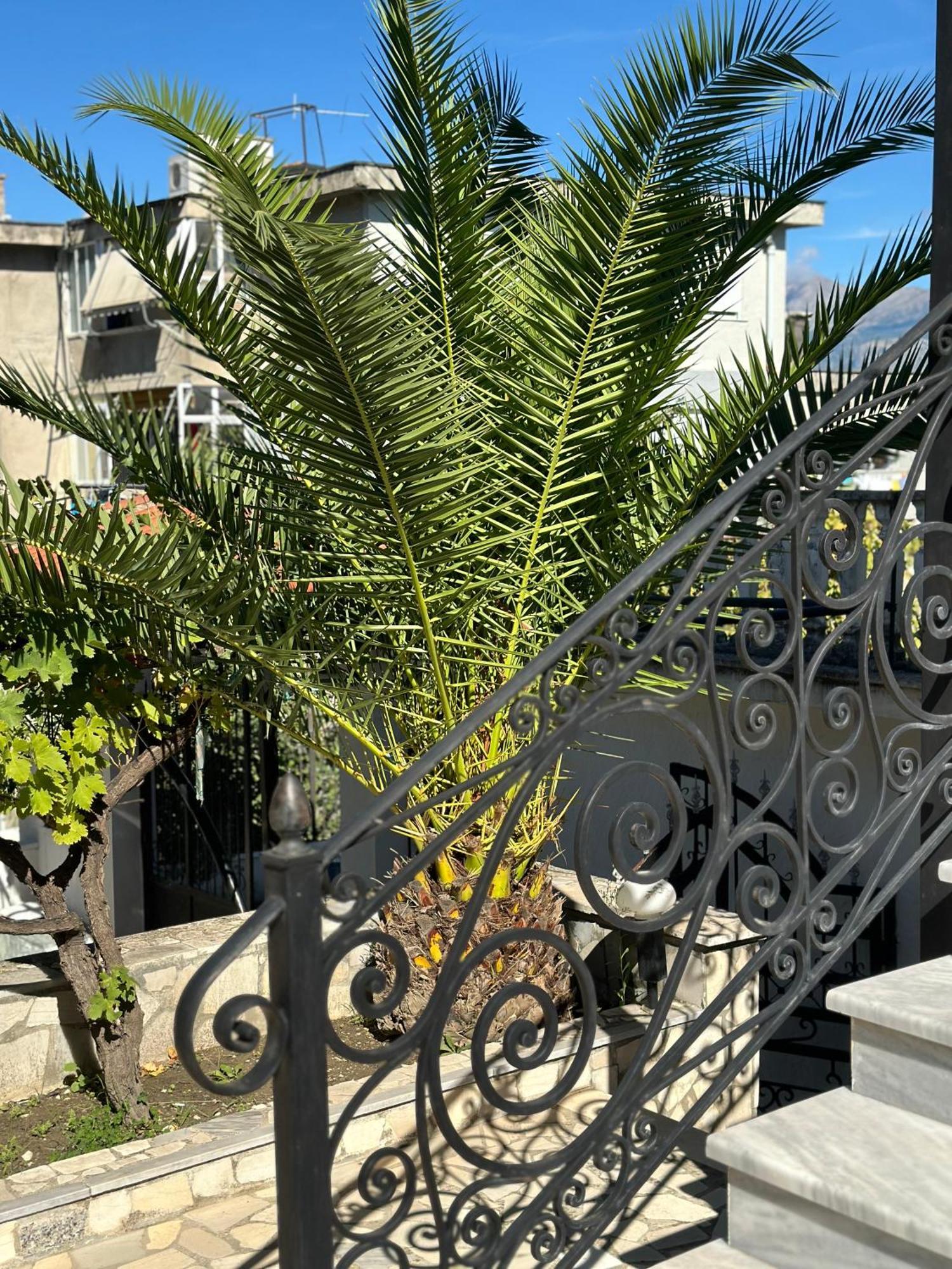 Villa Braho Gjirokaster Ngoại thất bức ảnh