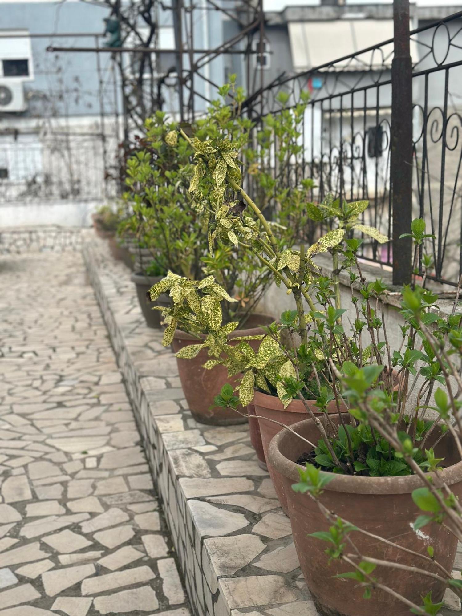 Villa Braho Gjirokaster Ngoại thất bức ảnh