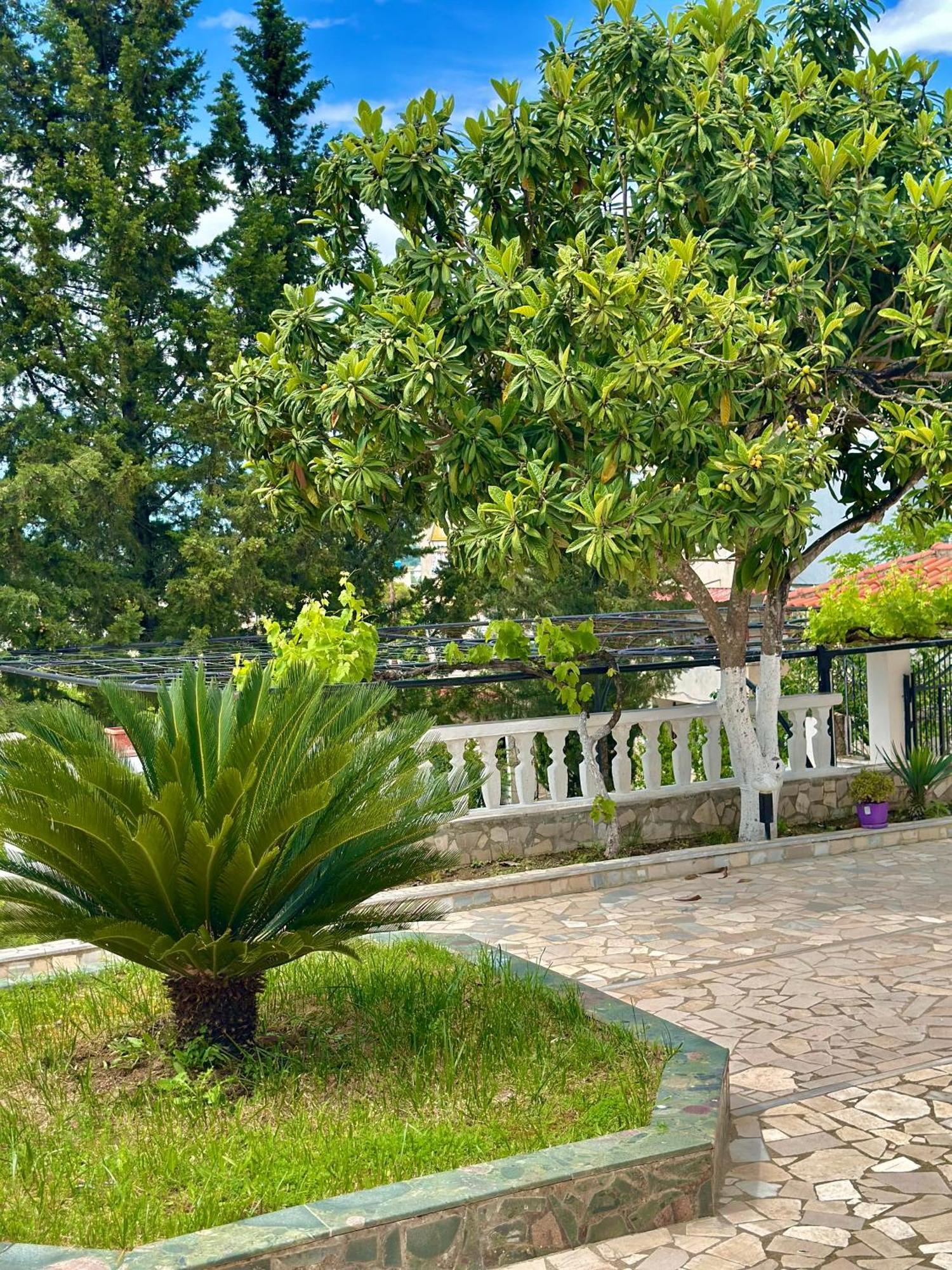 Villa Braho Gjirokaster Ngoại thất bức ảnh